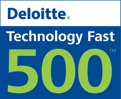 Deloitte 500